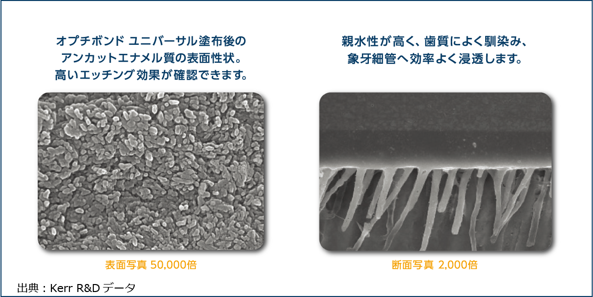高いエッチング力と浸透性 高いエッチング力と浸透性